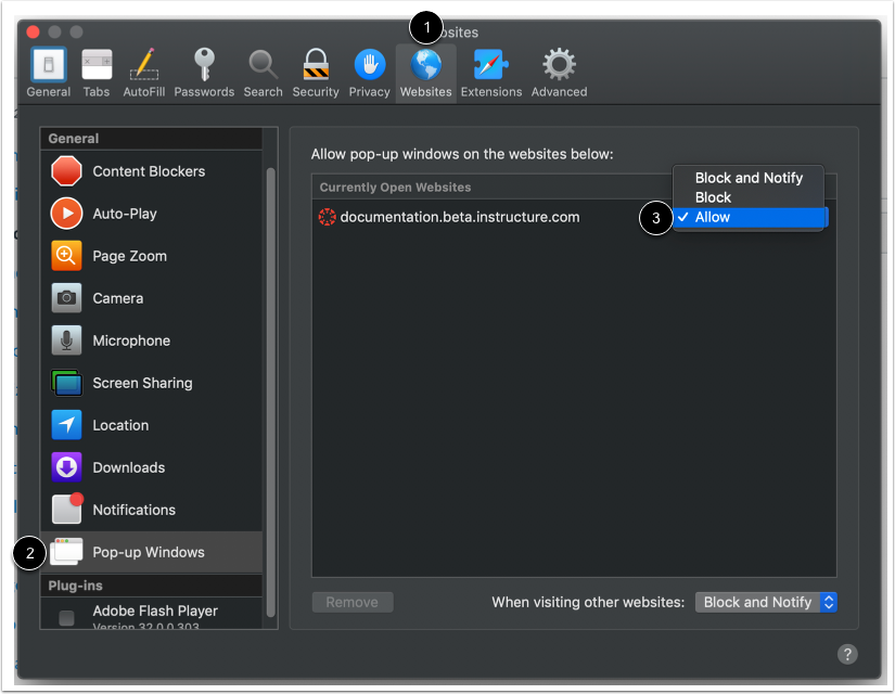 Enable Pop-ups in Safari